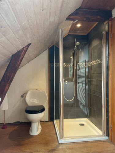 a bathroom with a toilet and a shower at Deichliebe 290 Ökologisches Ferienhaus Stöckte in Winsen