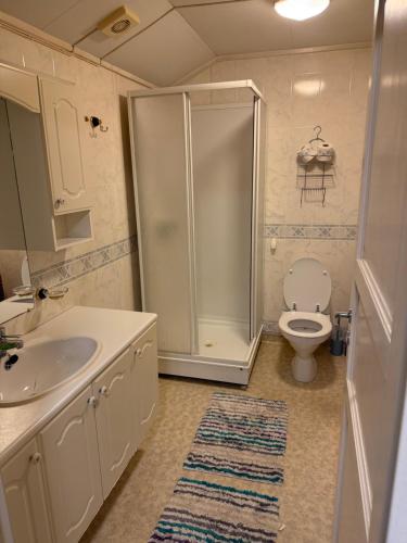 a bathroom with a shower and a toilet and a sink at Huset nært blåisvannet 