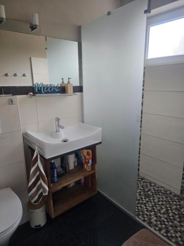 une salle de bain avec un lavabo blanc et une douche dans l'établissement Bambus, à Wangerland