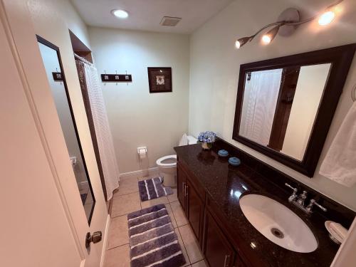 a bathroom with a sink and a mirror and a toilet at Habitacion Privada a 15 minutos de Walt Disney World in Kissimmee