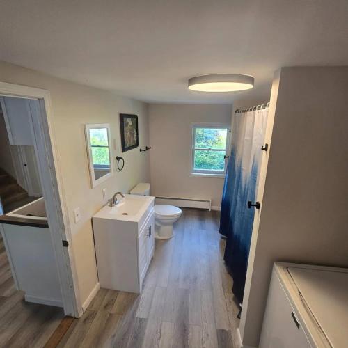 a bathroom with a toilet and a sink and a mirror at Big Barn Lodge - Farm House in Pulaski