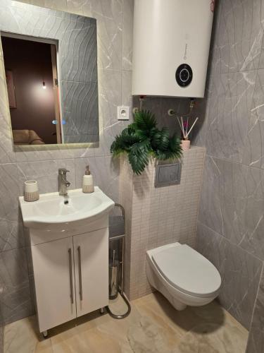 a bathroom with a toilet and a sink and a mirror at Vinetas Apartments Nr4 Sunset in Cēsis