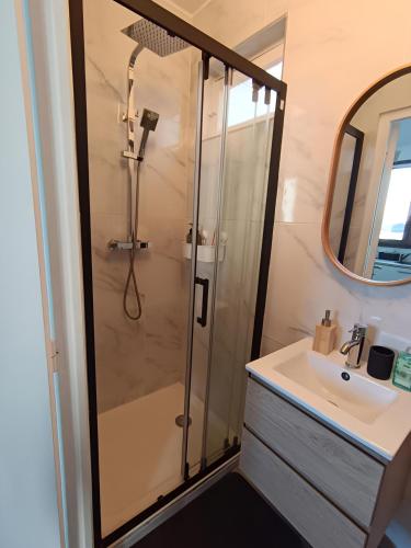 a bathroom with a shower and a sink at Studio cosy tout équipé, idéal in Chilly-Mazarin