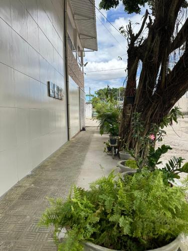 a sidewalk with plants in pots next to a building at Cantinho aconchegante - Quarto 09 - AR-condicionado in Bayeux