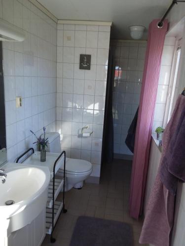 a bathroom with a sink and a toilet and a shower at Furusol Borgholm in Borgholm