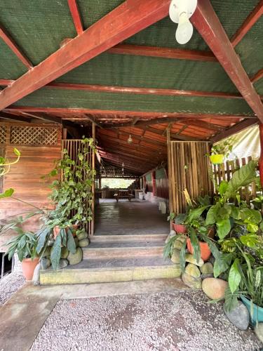 Zahrada ubytování Cocles House