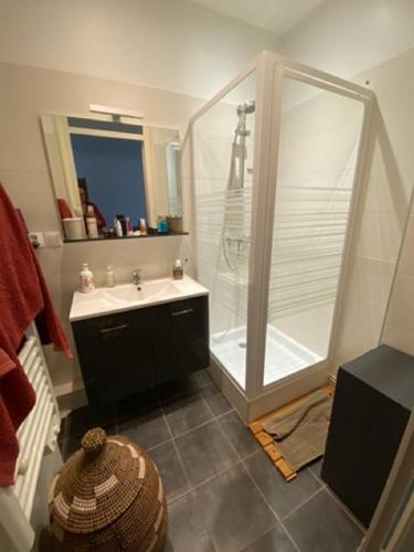 Appartement partagé -Place Jean Mace