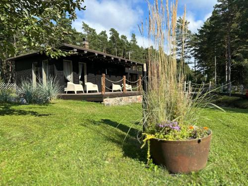 a house with a yard with a pot of flowers at My little happy place in Undva