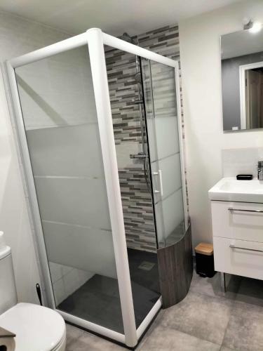 a glass shower in a bathroom with a sink at Escapade nature à Langon logement rénové in Langon