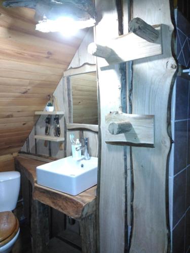 a bathroom with a sink and a toilet at Chalet typique des Pyrénées in Boutx