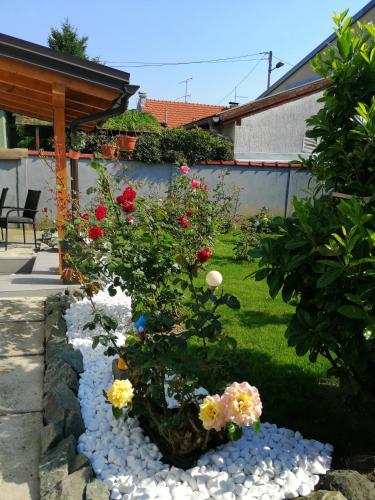 Apartman Suzana