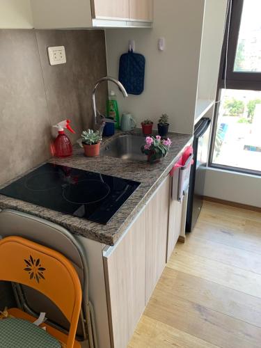 eine Küche mit Spüle und Arbeitsplatte in der Unterkunft Cómodo monoambiente en El Prado in Cochabamba