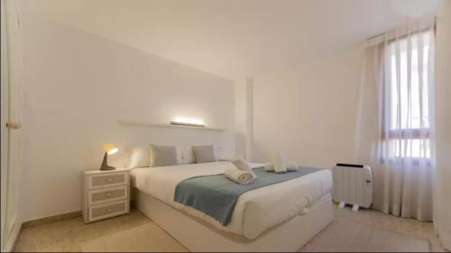 Historic Center - Loft in the heart of Valencia