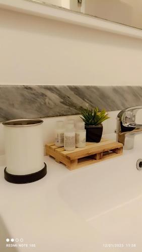 a shelf with a potted plant on a table at Nonno 'Drea Guest House in Castiglione della Pescaia