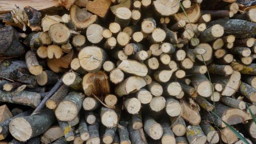 a pile of chopped wood laying next to each other at Casa dei Moch in Belluno