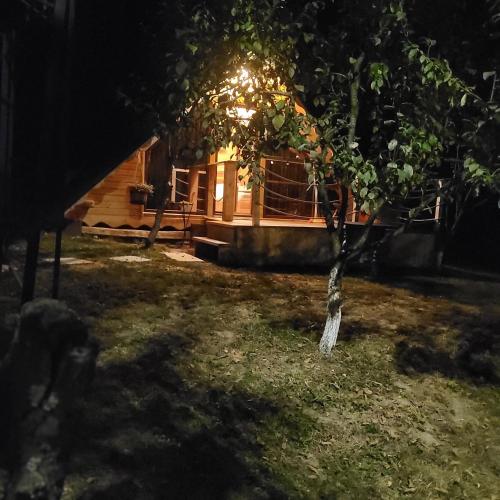 a cabin with a tree in the yard at night at Casuța din livada in Albestii de Arges