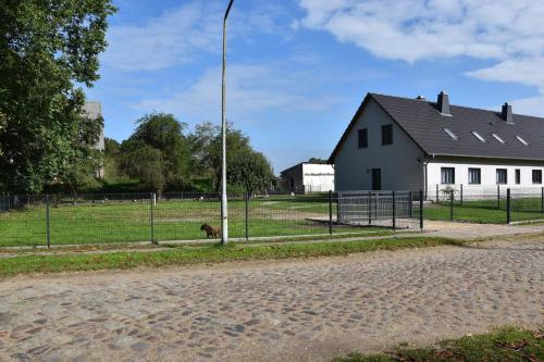 un cane seduto in un campo vicino a una casa di Ferienwohnung zur Schlossruine a Boldekow