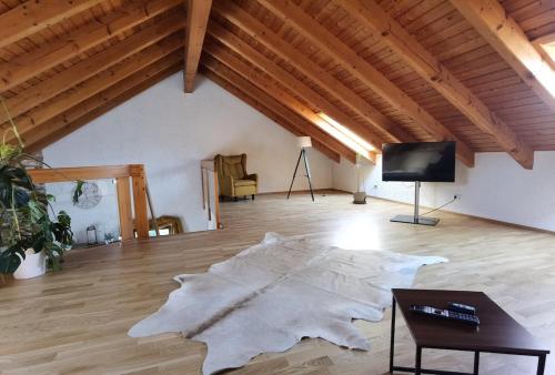 una sala de estar con una alfombra grande en el suelo en Charming loft apartment with fireplace, en Scheuring