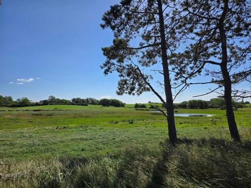 Φυσικό τοπίο κοντά σε αυτή η παραθεριστική κατοικία