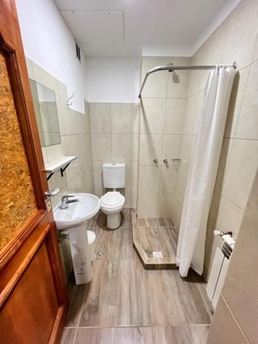 a bathroom with a toilet and a shower and a sink at Alvarez Apart in Ushuaia