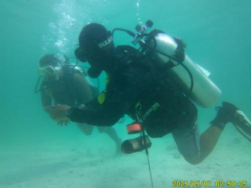 two people are scuba diving in the water at Mentari homestay in Besir
