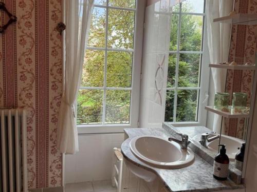 un bagno con lavandino e finestra di Maison de maître XIXe avec piscine, étang à proximité et équipements modernes - FR-1-489-505 a Gipcy