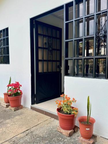 Φωτογραφία από το άλμπουμ του Flores en la colina 2 σε Bellavista