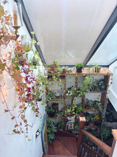 a bunch of potted plants on a stair case at The Snug in a Quaint English Mews House in London