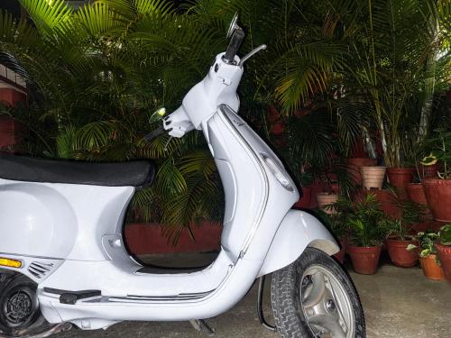 a white scooter parked in front of plants at Elegant Guest House in Pokhara