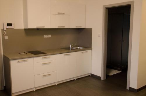 eine Küche mit weißen Schränken und einem Waschbecken in der Unterkunft Apartment Lidická Slavkov, 4 person in Austerlitz