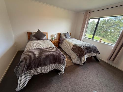 two beds in a room with a window at Mountain Pure Lodge in Gore
