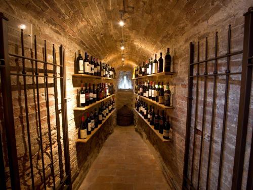 a wine cellar with shelves of wine bottles at Hotel Palazzo Renieri - 3stelle S in Colle Val D'Elsa