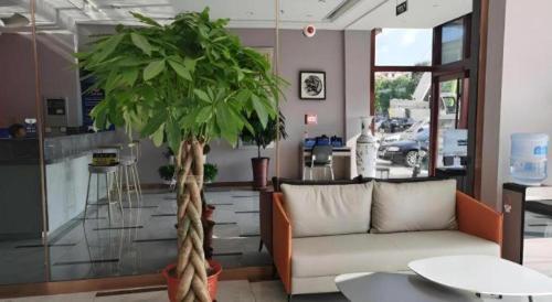 un salon avec un canapé et un arbre dans l'établissement Shell Hotel Beijing Miyun District Shuiku Yangguang, à Xiwengzhuang