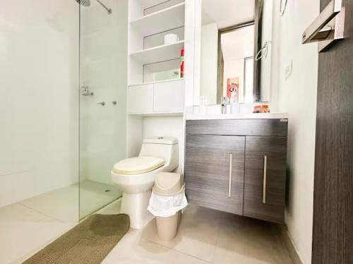 a bathroom with a toilet and a sink and a shower at Apto Premium con vista al Mar en Pozos Colorados in Playa Bello Horizonte