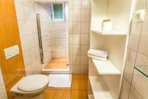 a small bathroom with a toilet and a shower at Rooms & Apartments Kepic, AIRPORT accomodation in Cerklje na Gorenjskem