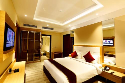 Habitación de hotel con cama y TV en SK Park Blu, en Sonipat