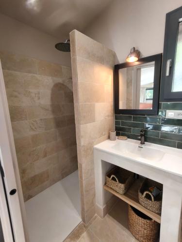 un baño con lavabo y ducha en La Grange d'Andrea, en Saint-Étienne-de-Fontbellon