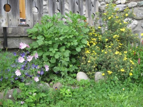 a garden with flowers next to a wooden fence at Appartamento Giuliana in Sappada