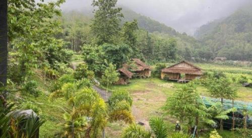 eine Gruppe von Hütten auf einem Feld mit Bäumen in der Unterkunft Peisanae Faikeng Resort in Nan