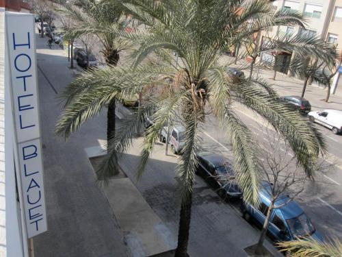 a palm tree in front of a parking lot at Hotel Blauet by Bossh Hotels in El Prat de Llobregat