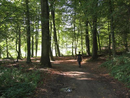 a person walking down a path in the woods at Hotel De Oude Brouwerij in Mechelen