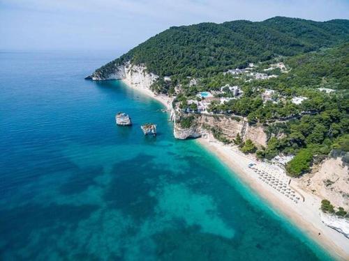 an aerial view of a beach with boats in the water at Silenza B&B, Charme, Comfort e Relax nel Gargano in Mattinata