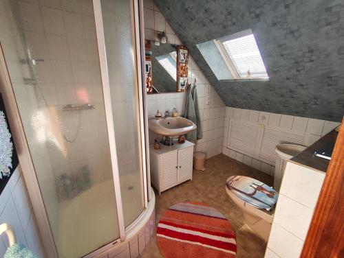 a small bathroom with a shower and a sink at Krämer-Bude in Oberkrämer