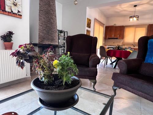 a living room with a potted plant on a glass table at VILLa CALLIONE - AMAZING VIEW in Kyperounda