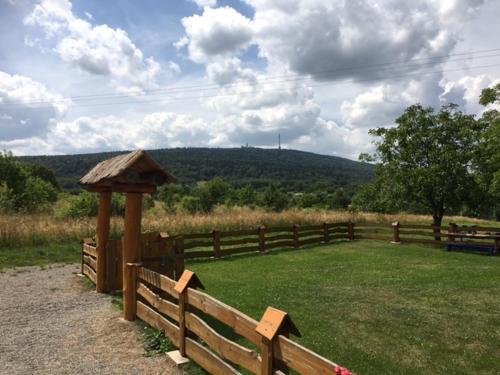 a wooden fence with a gazebo in a field at Willa Czarownica in Nowa Słupia