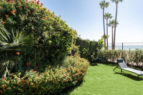 Κήπος έξω από το Amazing Venalmar Beach