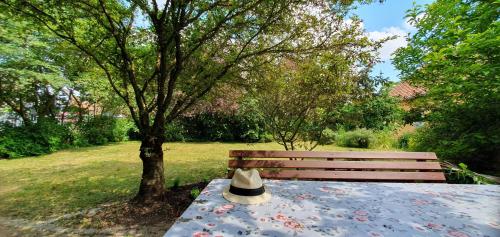 a hat sitting on a park bench under a tree at Beim FörschtnSchorsch in Königsfeld