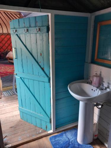 a bathroom with a blue door and a sink at Hillside Retreats in Machynlleth
