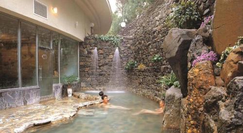 牙山市にあるOnyang Hot Spring Hotelの滝のある建物の水のプール