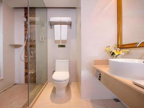 a bathroom with a toilet and a sink at Vienna Hotel Guangdong Qingyuan Wanda Plaza Xincheng Beijiang in Qingyuan